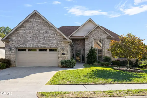 10 Alta Tree Court, Johnson City, TN 37604
