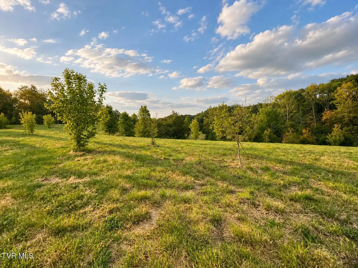 3050 Shackleford Road, Mosheim, TN 37818 - #1