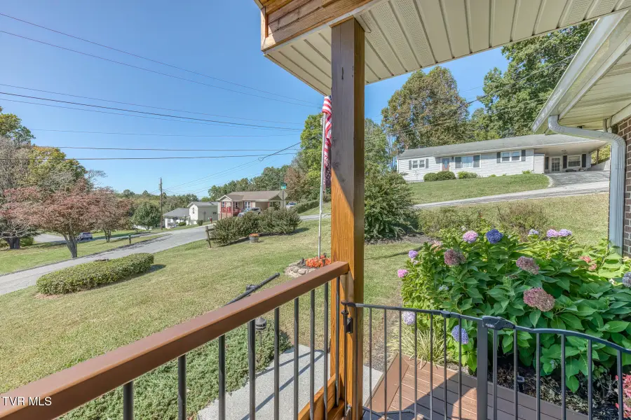 252 Crockett Street, Bluff City, TN 37618 - #3
