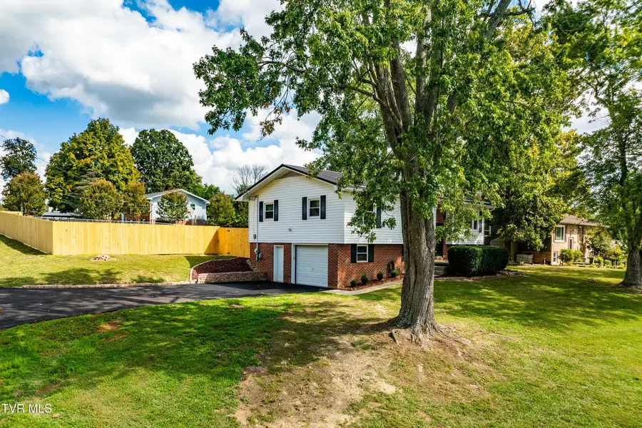 118 Greenmeadow Lane, Jonesborough, TN 37659 - #3