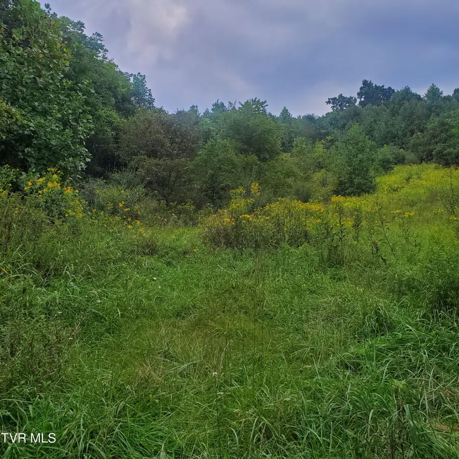 949 Palmer Avenue, Saltville, VA 24370 - #2