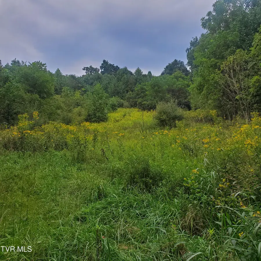 949 Palmer Avenue, Saltville, VA 24370 - #3