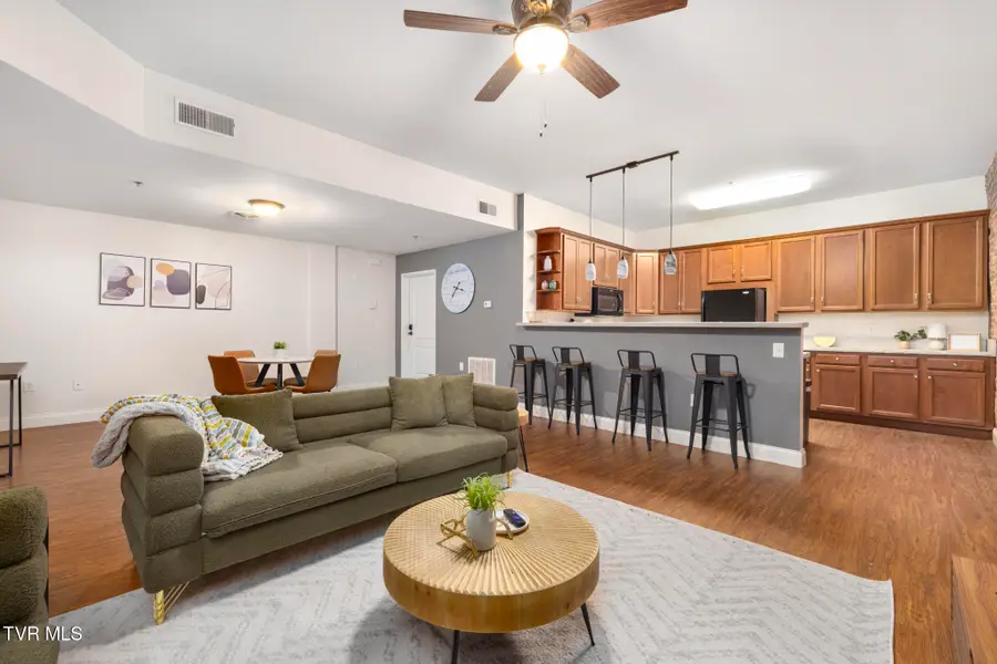 116 Tipton Street #Apt 309, Johnson City, TN 37604 - #3