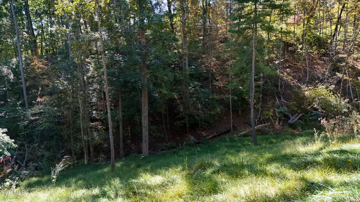 146 Cloudland Drive, Bristol, TN 37620 - #1
