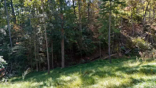 146 Cloudland Drive, Bristol, TN 37620