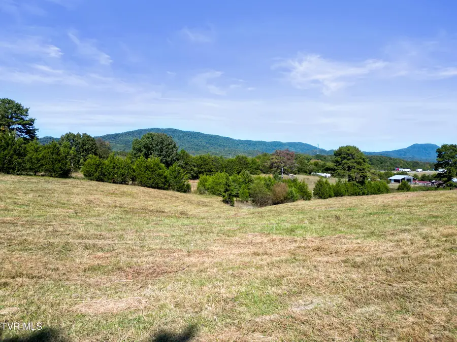 1655 Millers Chapel Road, Greeneville, TN 37745 - #2