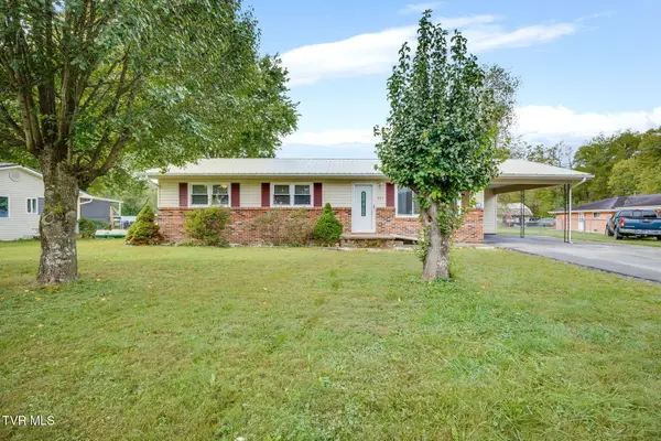 221 Pippin Hollow Road, Erwin, TN 37650