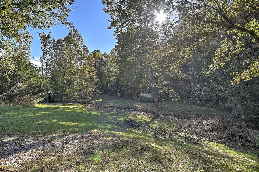 181 Cold Springs Road, Blountville, TN 37617 - #2