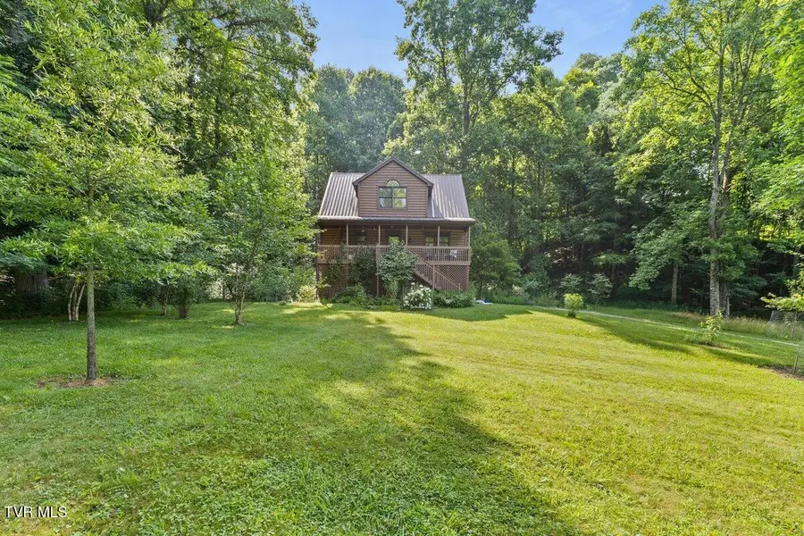 103 Meadow Springs Court, Flag Pond, TN 37657 - #3