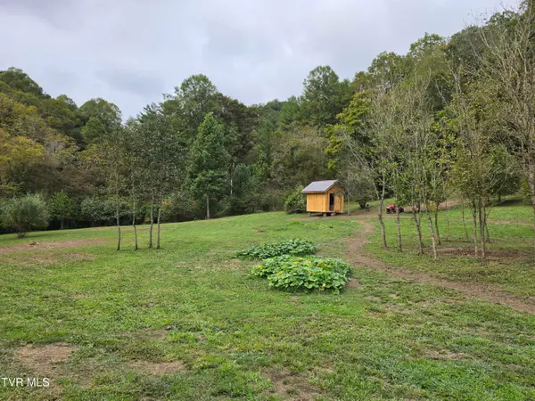 Tbd Osborne Ridge Road, Dungannon, VA 24245