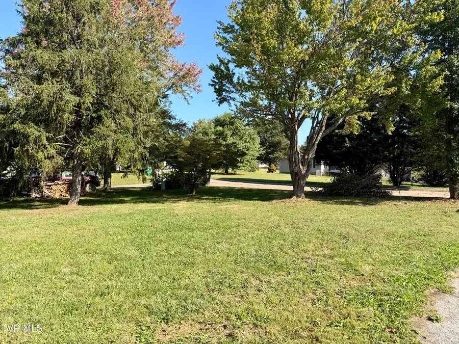 251 Meadowood Drive, Talbott, TN 37877 - #3