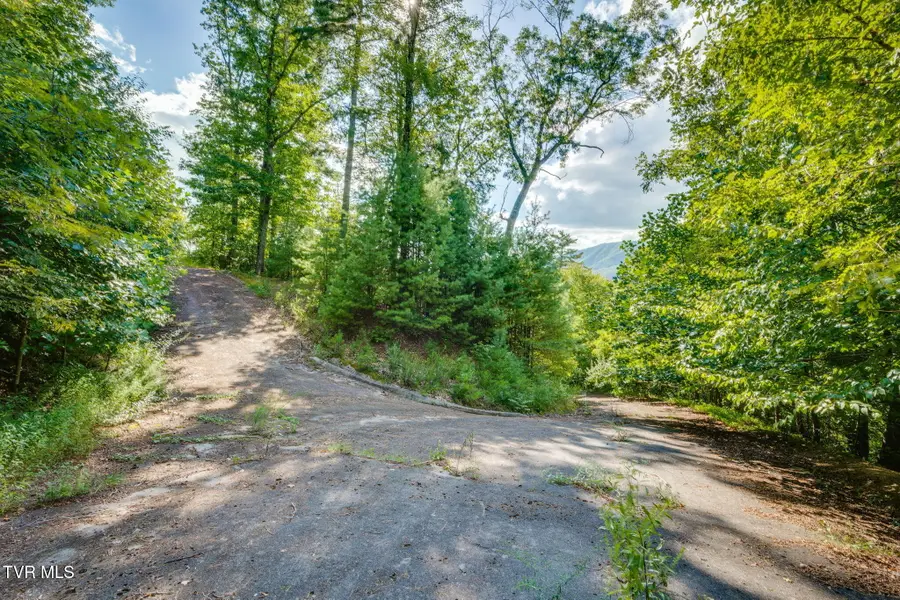 Tbd Cove Ridge Road, Butler, TN 37640 - #3