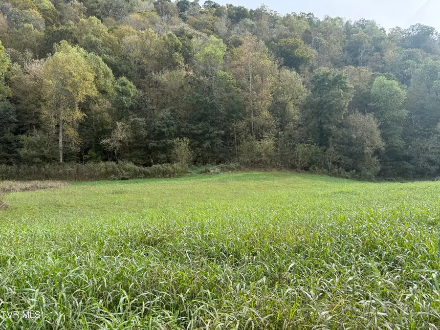9002 Horton Ford Road, Eidson, TN 37731 - #2