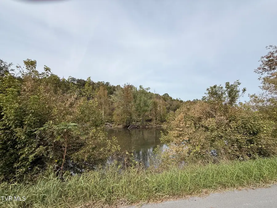 9002 Horton Ford Road, Eidson, TN 37731 - #3