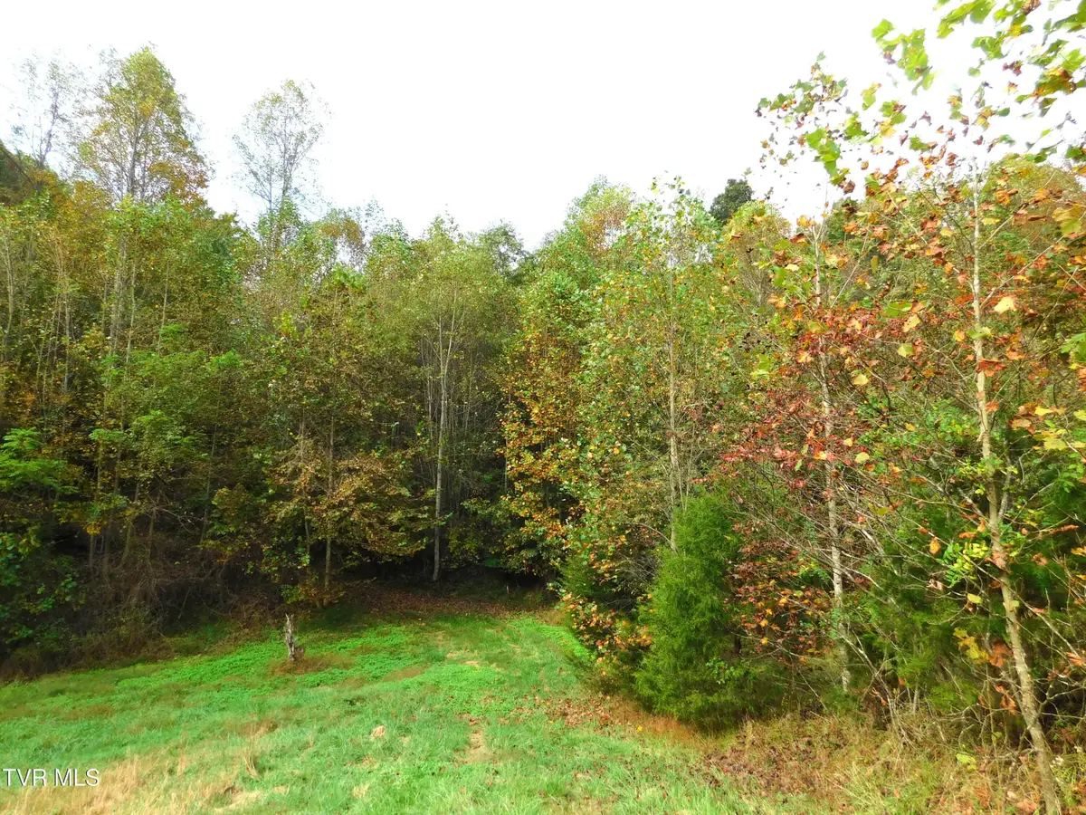 Tbd Old Harlan Road, Jonesville, VA 24263 - #1
