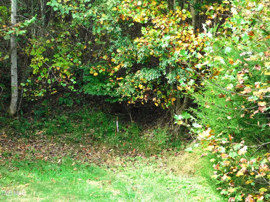 Tbd Old Harlan Road, Jonesville, VA 24263 - #2