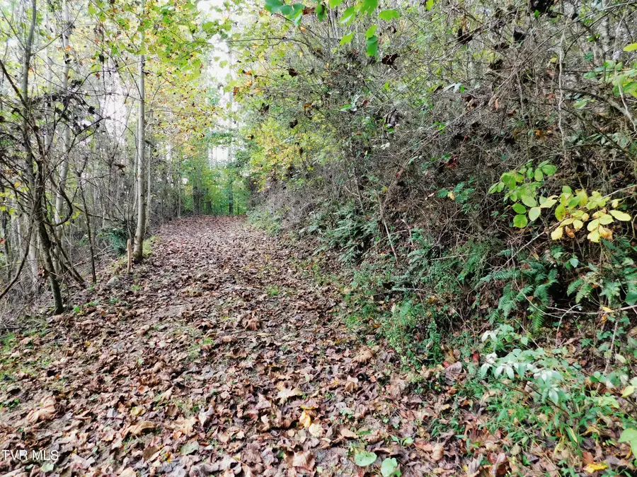 Tbd Old Harlan Road, Jonesville, VA 24263 - #3