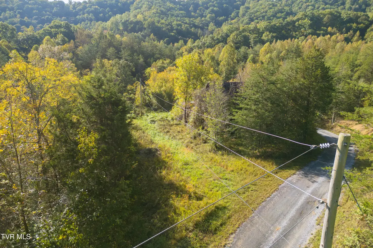00 Hendry Hollow Lane, Bulls Gap, TN 37711 - #1