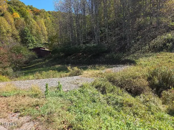 Parcel 1 Miller Road Road, Trade, TN 37691