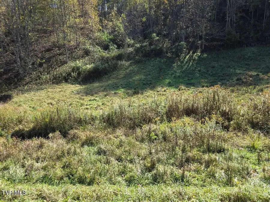 Parcel 1 Miller Road Road, Trade, TN 37691 - #2