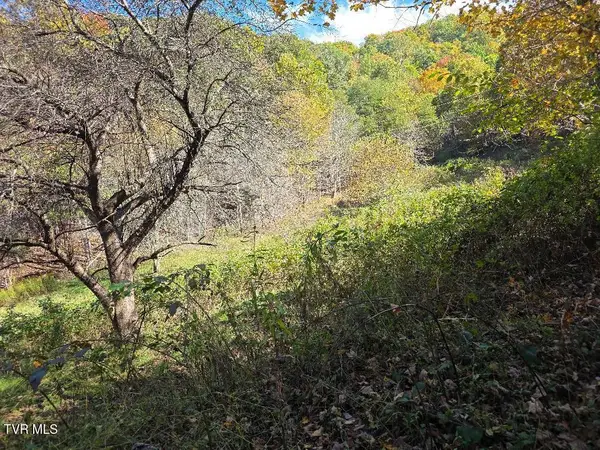 Parcel 2 Miller Road, Trade, TN 37691