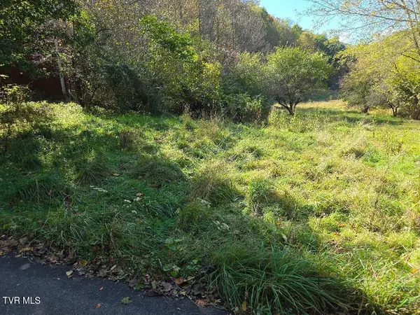 Tbd Miller Road, Trade, TN 37691