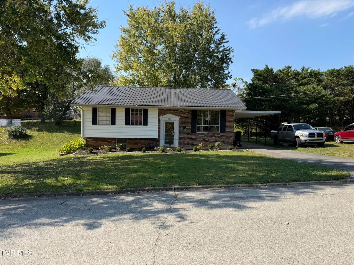 206 Alderman Drive, Greeneville, TN 37745 - #1