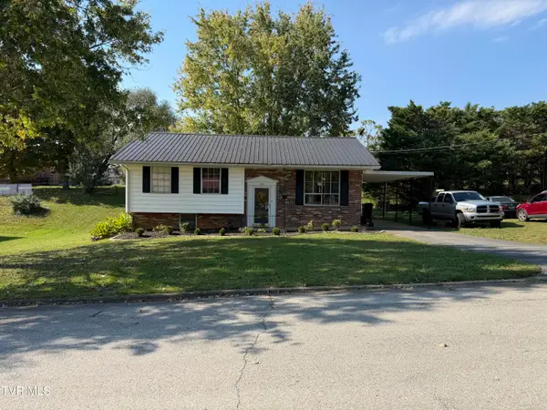 206 Alderman Drive, Greeneville, TN 37745