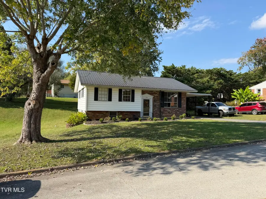 206 Alderman Drive, Greeneville, TN 37745 - #2