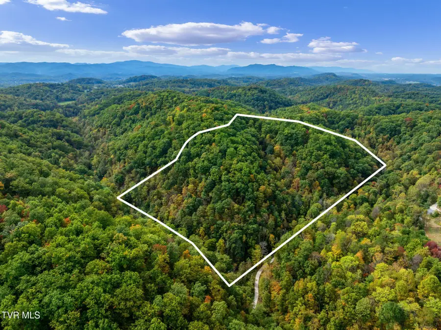Tbd Rasnick Hollow Road, Elizabethton, TN 37643 - #2