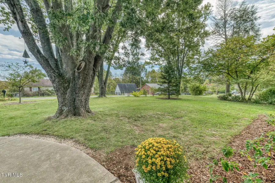 133 Northeast Drive, Johnson City, TN 37601 - #3