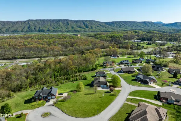 307 Carrie Circle, Mount Carmel, TN 37645