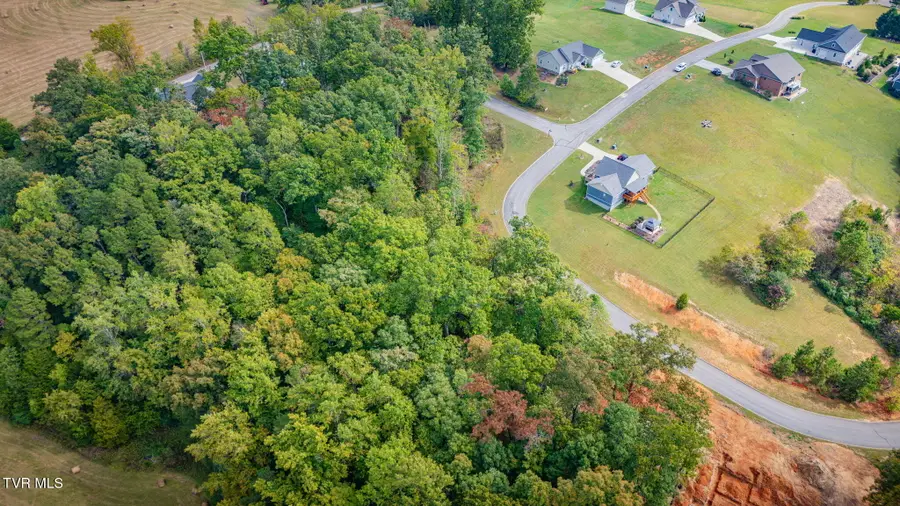 Tbd Tumbleweed Trail, Rutledge, TN 37861 - #2