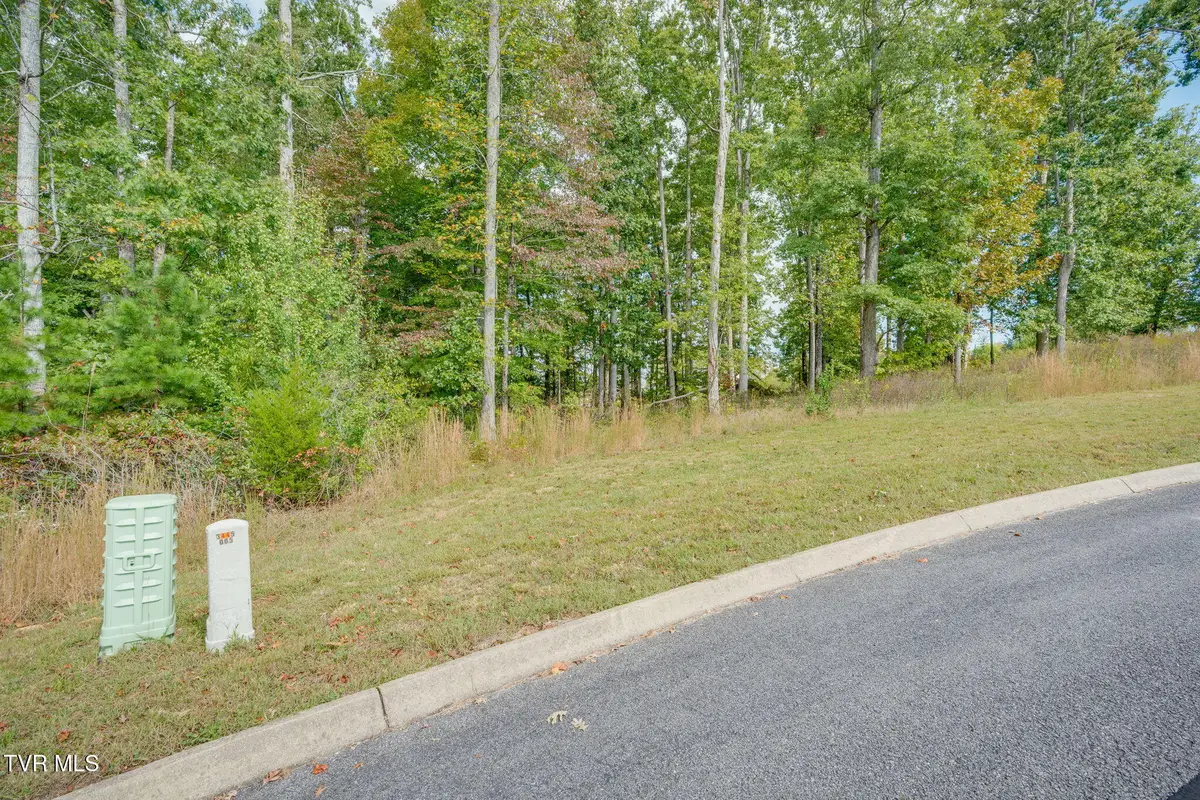 Tbd Tumbleweed Trail, Rutledge, TN 37861 - #1