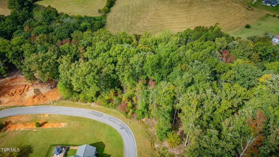 Tbd Tumbleweed Trail, Rutledge, TN 37861 - #3