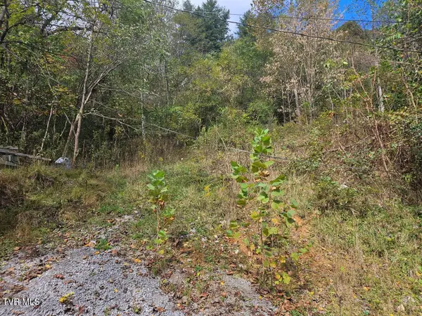 1727 Right Poor Valley Road, Pennington Gap, VA 24277
