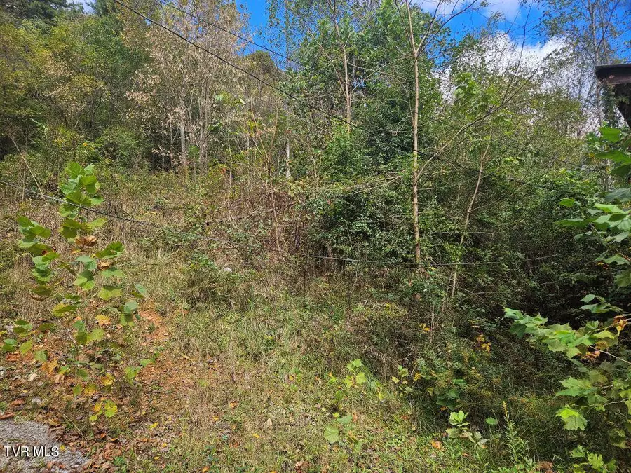 1727 Right Poor Valley Road, Pennington Gap, VA 24277 - #2