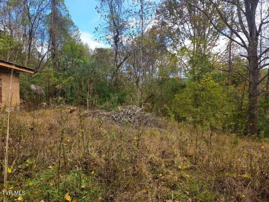 1727 Right Poor Valley Road, Pennington Gap, VA 24277 - #3