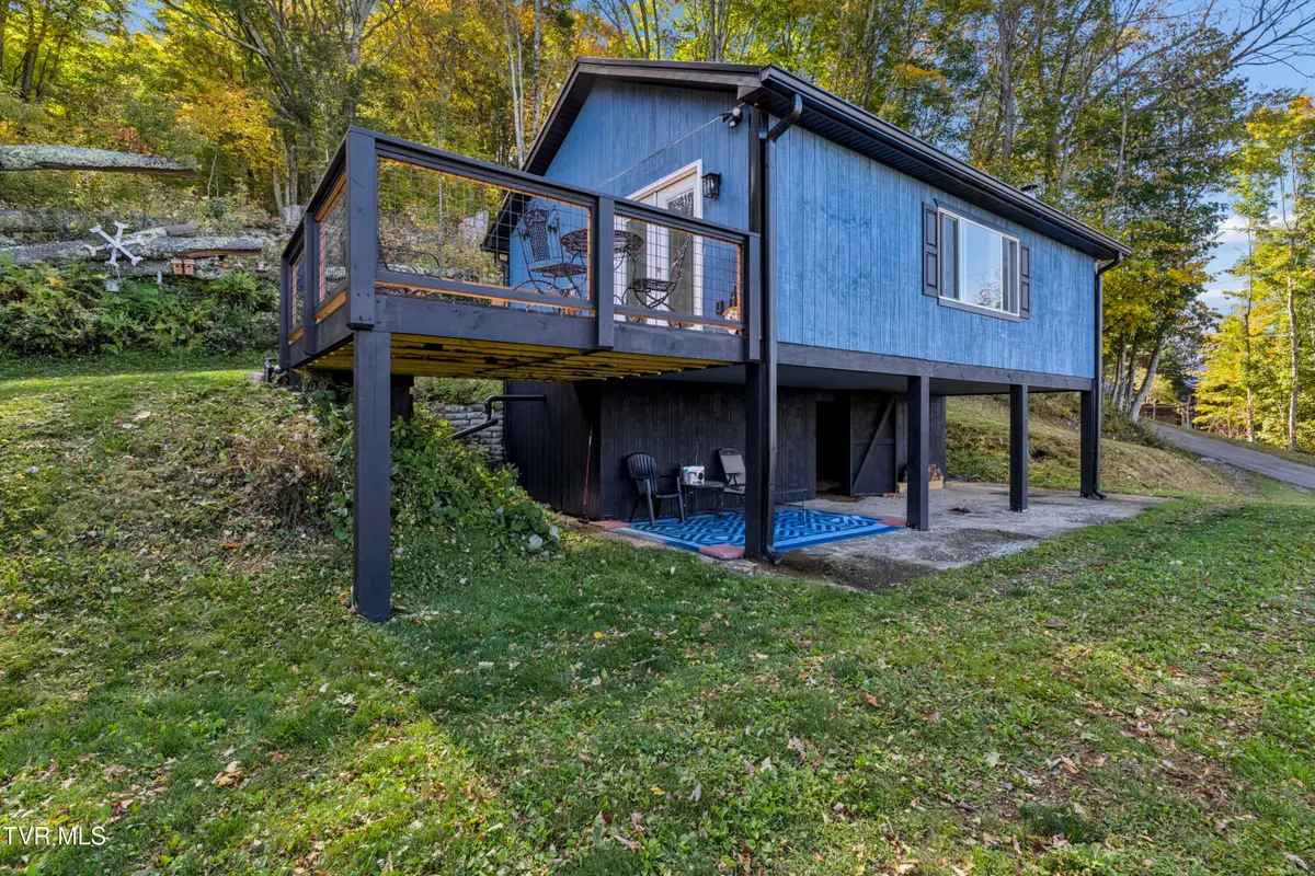 150 Log Cabin Lane, Roan Mountain, TN 37687 - #1