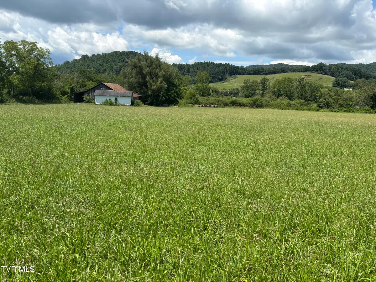 2558 South Shady Street, Mountain City, TN 37683 - #1