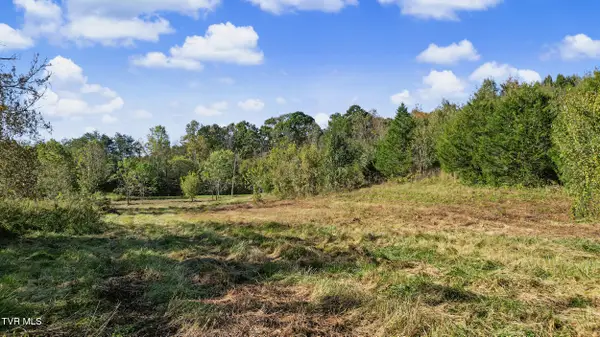 1985 Snake Hollow Road, Greeneville, TN 37743