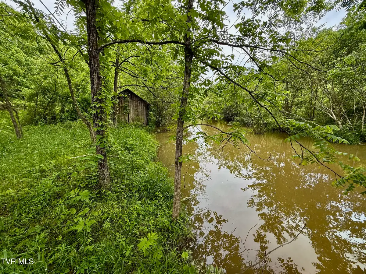 212ac Pressmens Home, Rogersville, TN 37857 - #1
