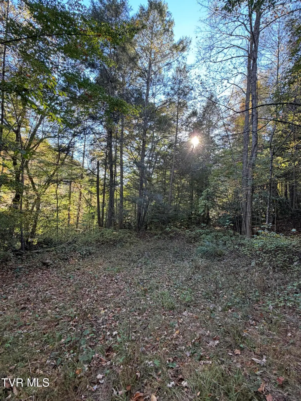 N/A Yellow Creek Road, Wise, VA 24293 - #1