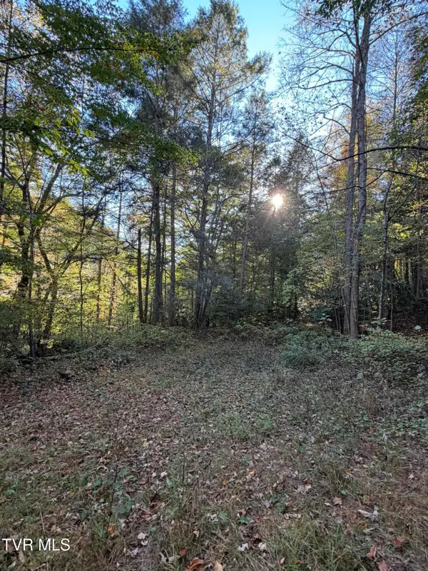 N/A Yellow Creek Road, Wise, VA 24293