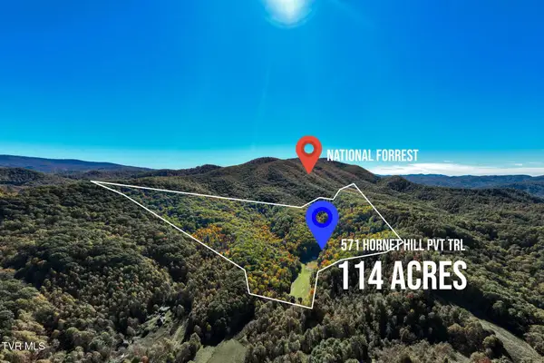 571 Hornet Hill Pvt Trail, Butler, TN 37640