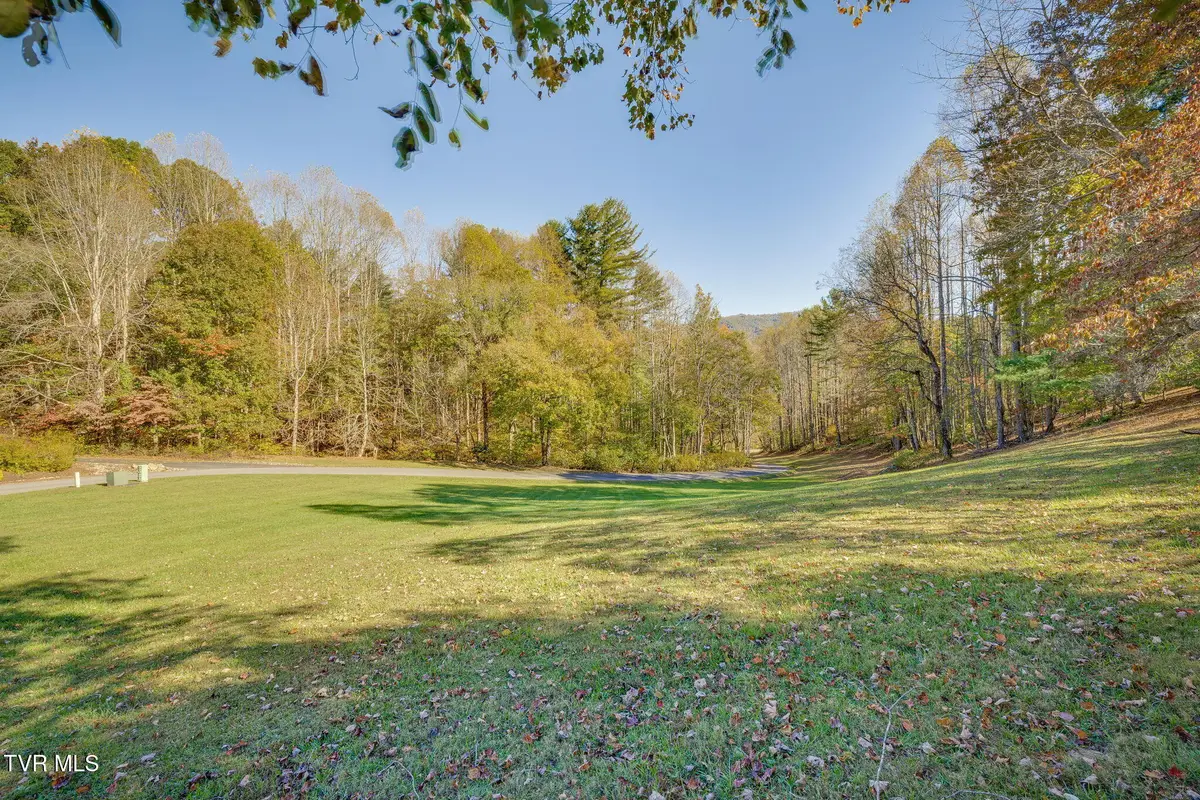 Lot 2 Holly Meadow Road, Mountain City, TN 37683 - #1