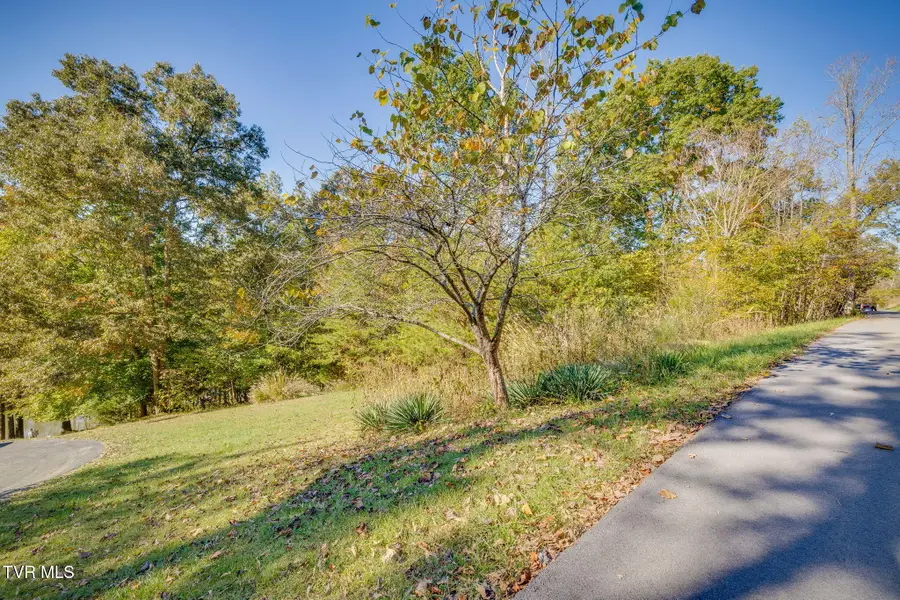 0 Cooks Landing Road, Kingsport, TN 37664 - #2