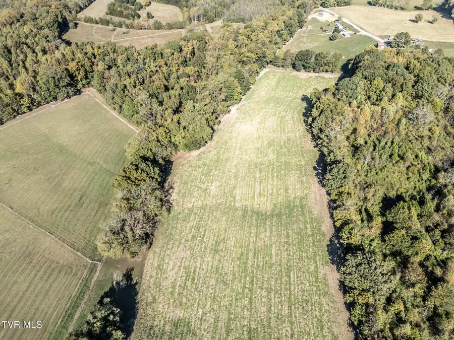 11.81 Ac Kenyon Road, Parrottsville, TN 37843 - #3