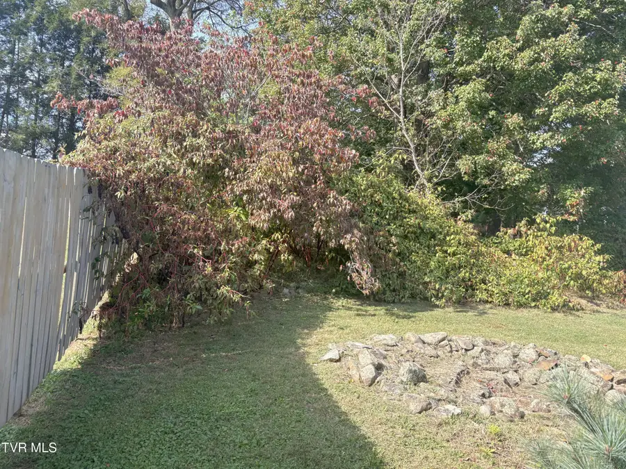 217 Sprinkle Avenue, Marion, VA 24354 - #2
