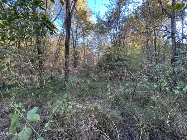 Tbd Deerfoot Lane, Greeneville, TN 37743